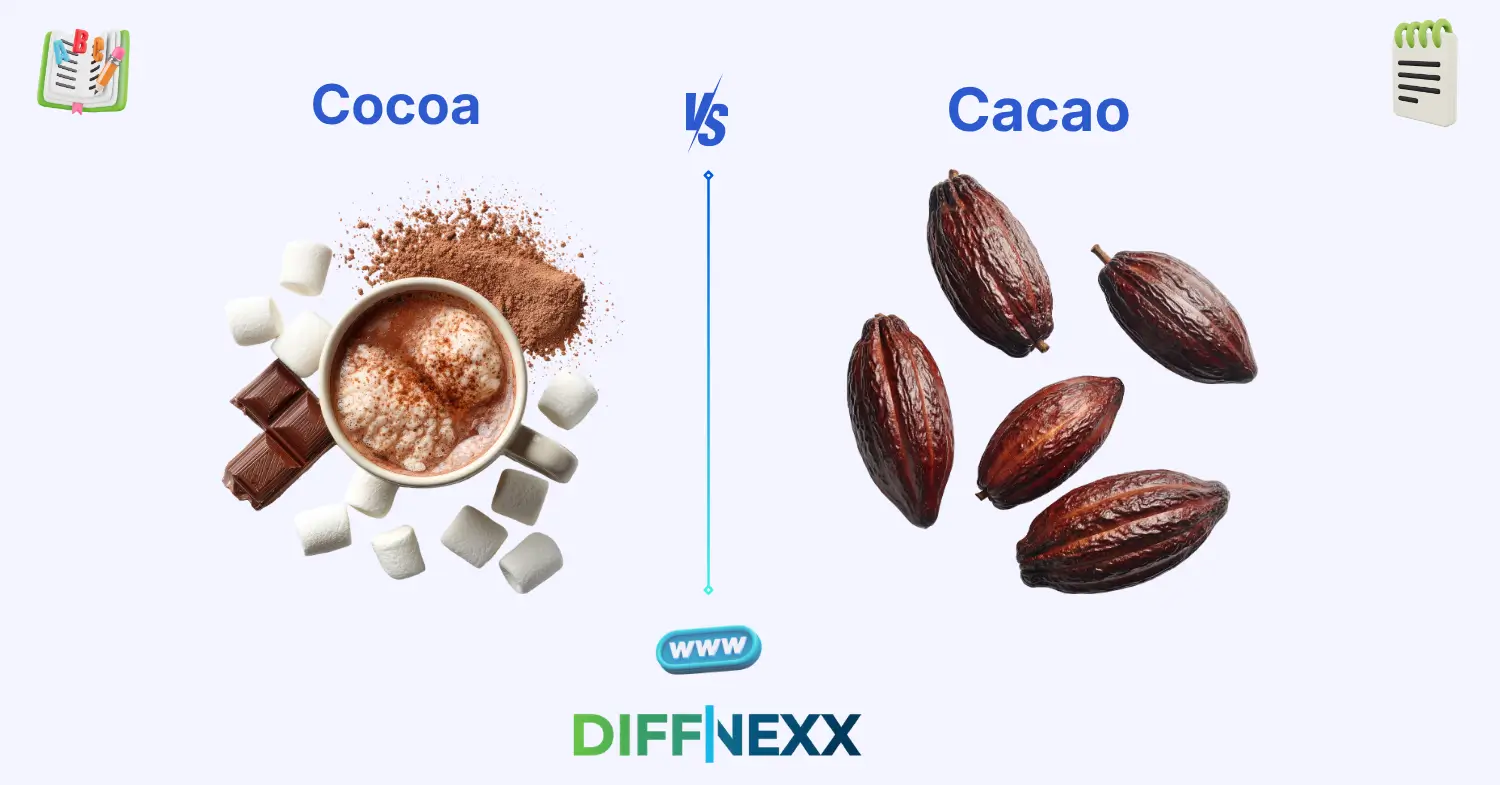 difference between cocoa and cacao