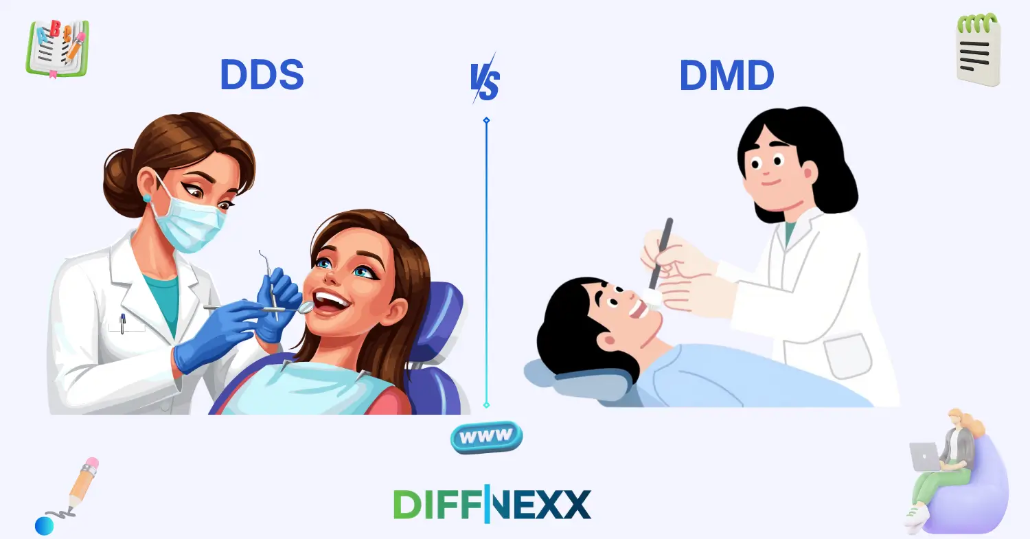 difference between dds and dmd
