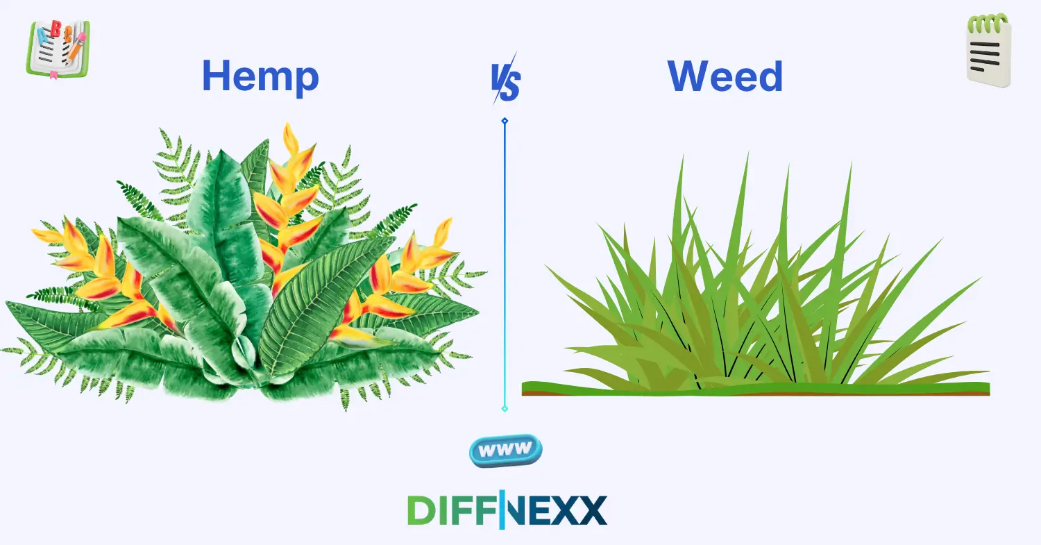 difference between hemp and weed
