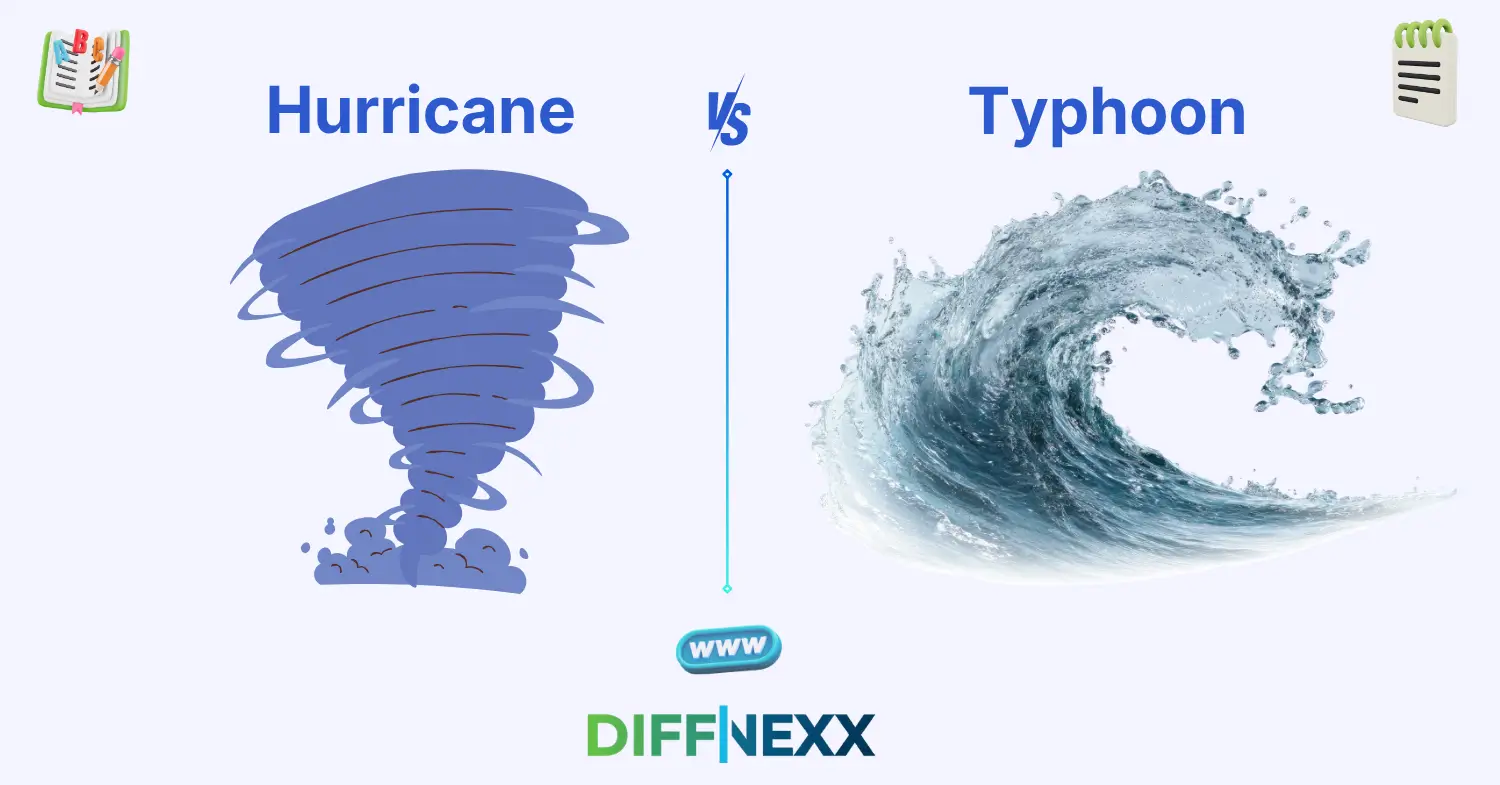 difference between hurricane and typhoon