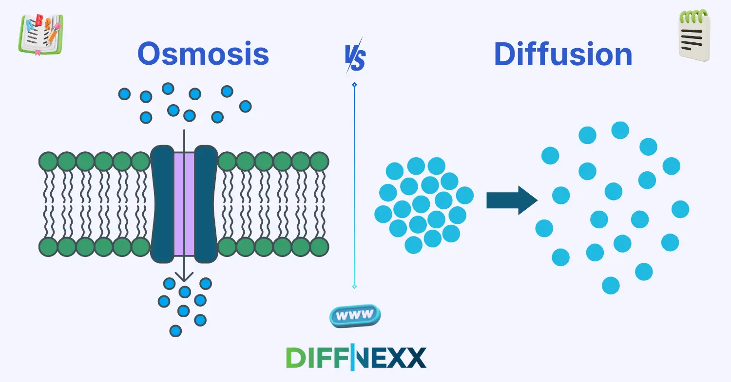 difference between osmosis and diffusion