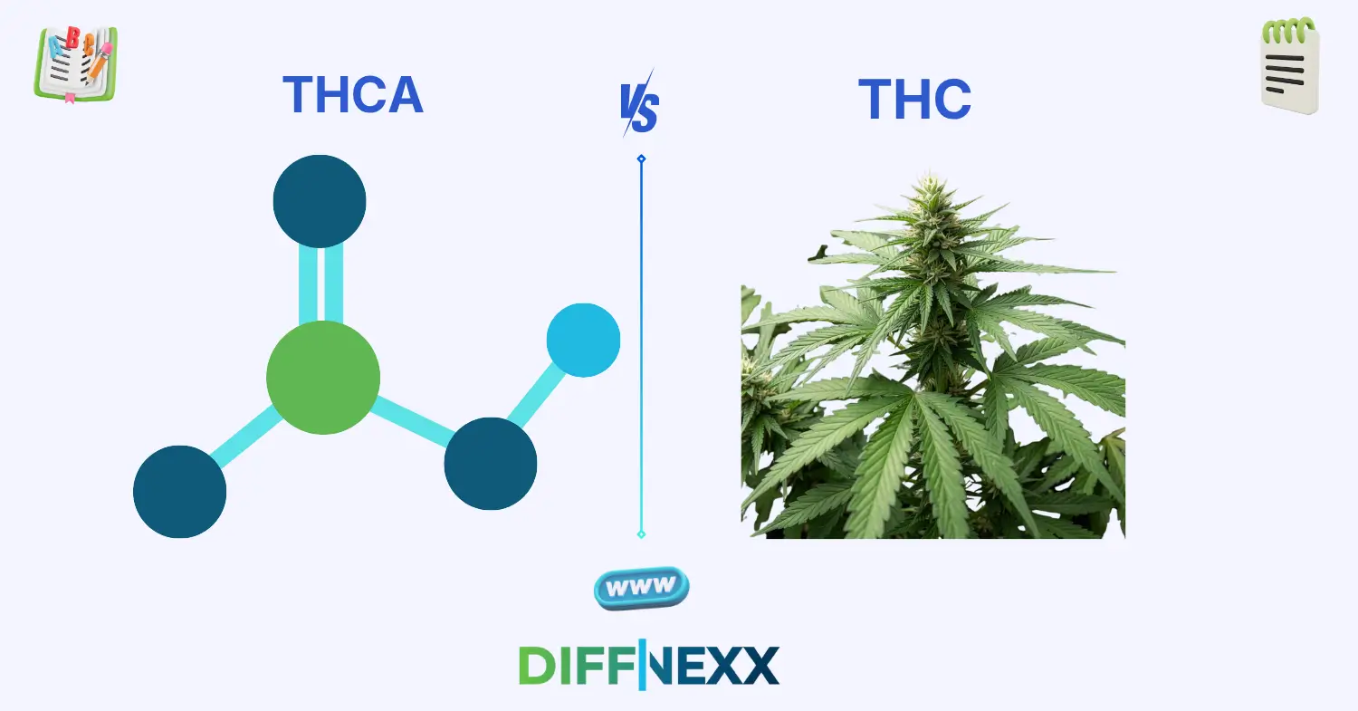 difference between THCA and THC