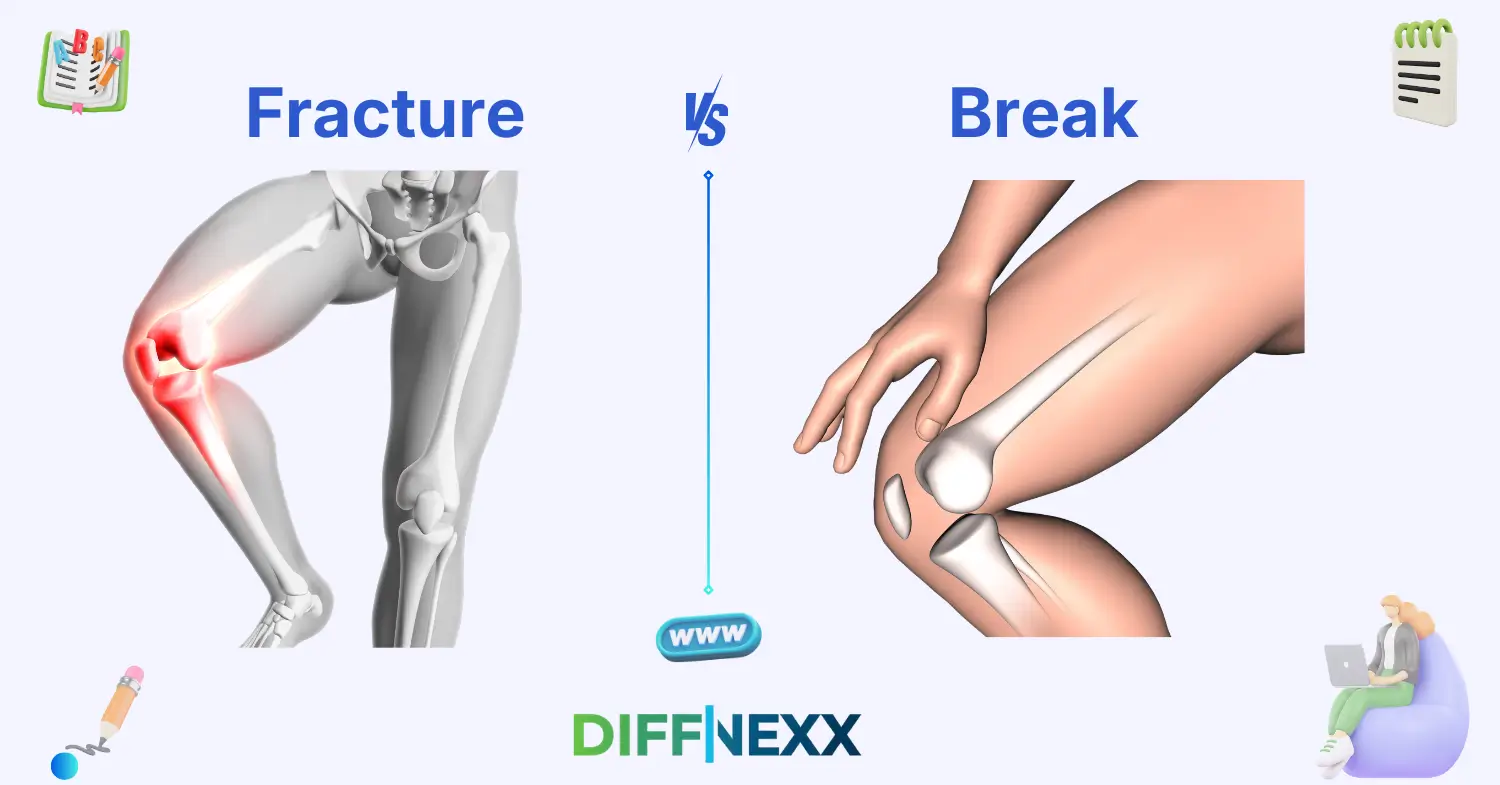 difference between fracture and break