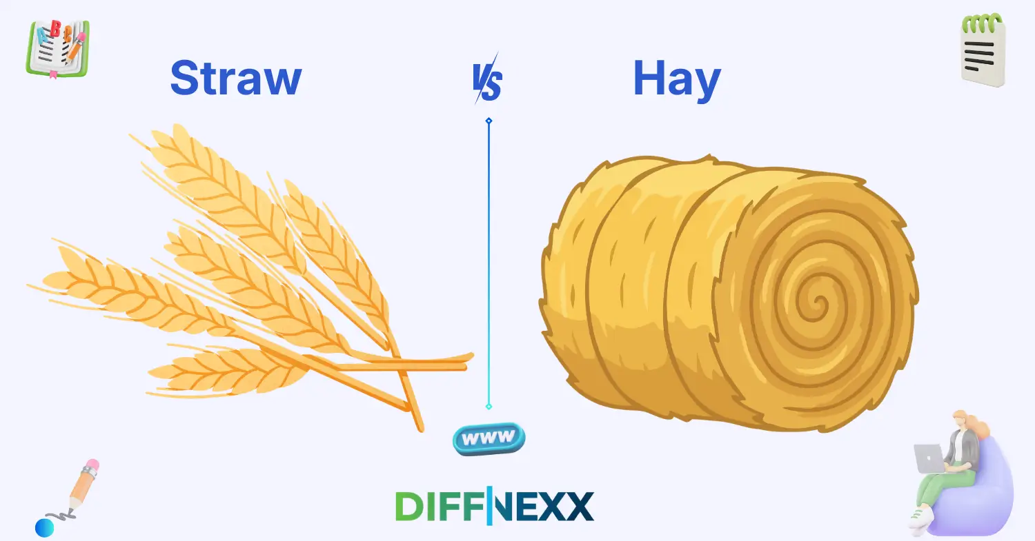 difference between straw and hay