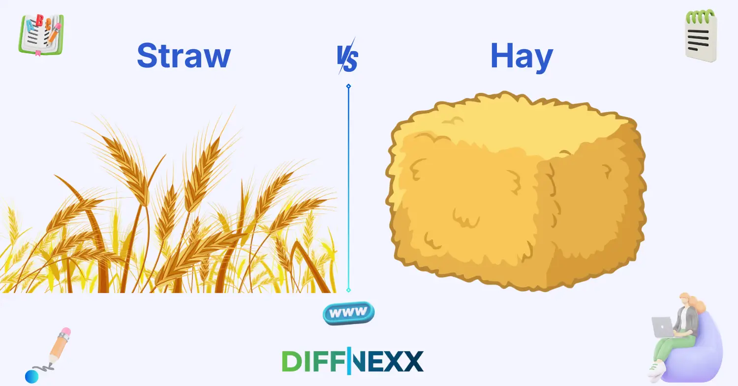 difference between straw and hay