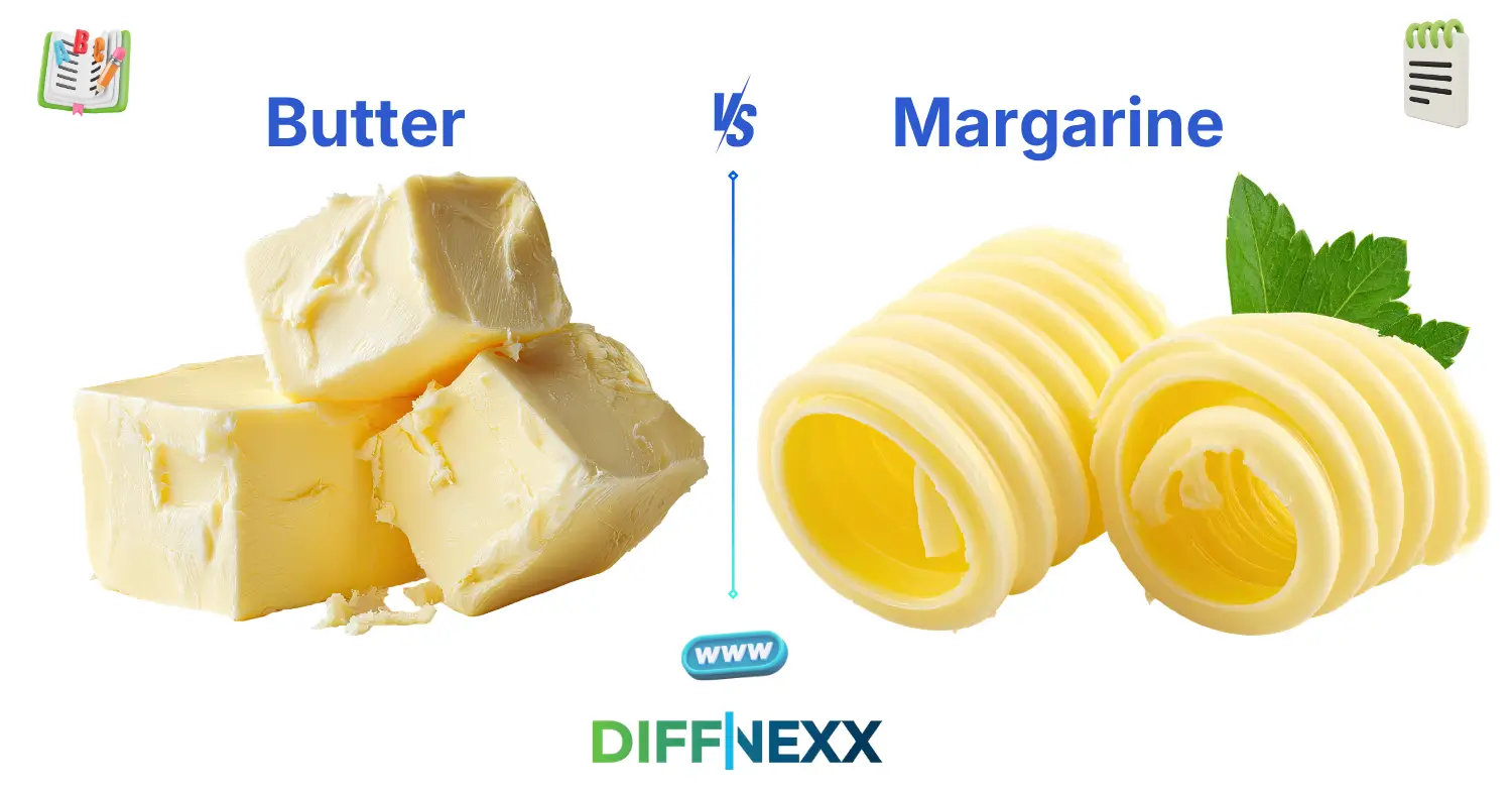 difference between butter and margarine