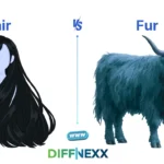 difference between hair and fur
