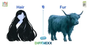 difference between hair and fur