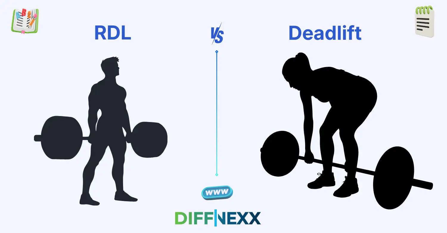 difference between rdl and deadlift